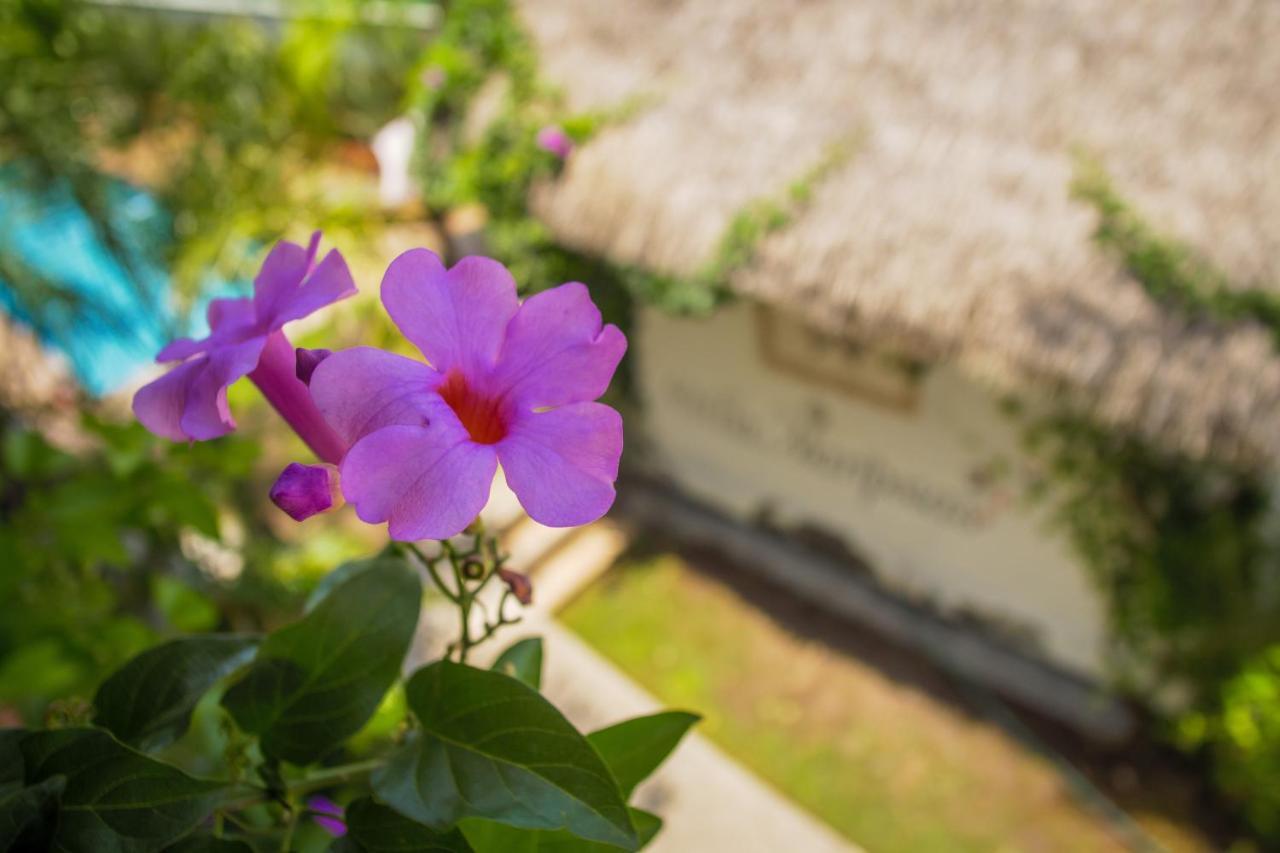 Hotel Villas Mariposas Atlixco Εξωτερικό φωτογραφία
