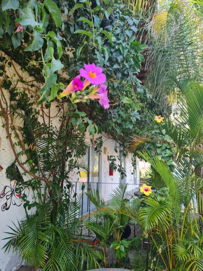 Hotel Villas Mariposas Atlixco Εξωτερικό φωτογραφία