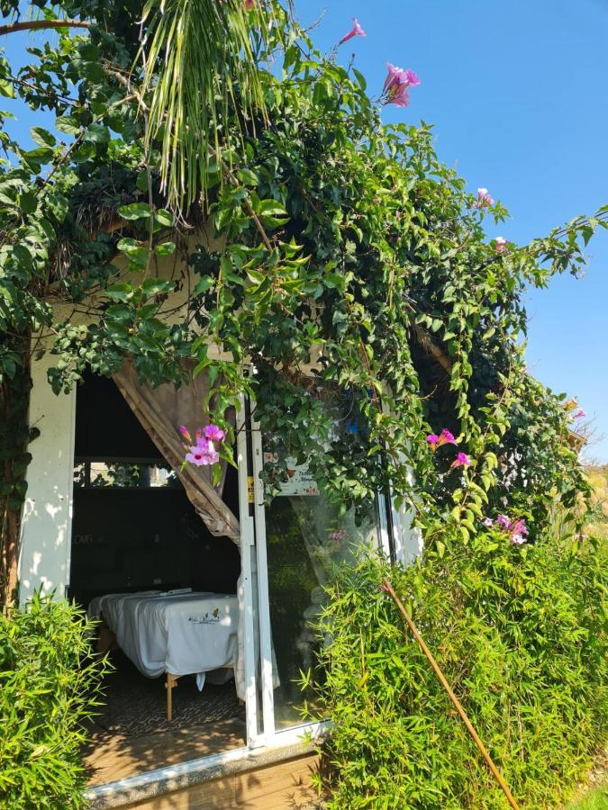 Hotel Villas Mariposas Atlixco Εξωτερικό φωτογραφία