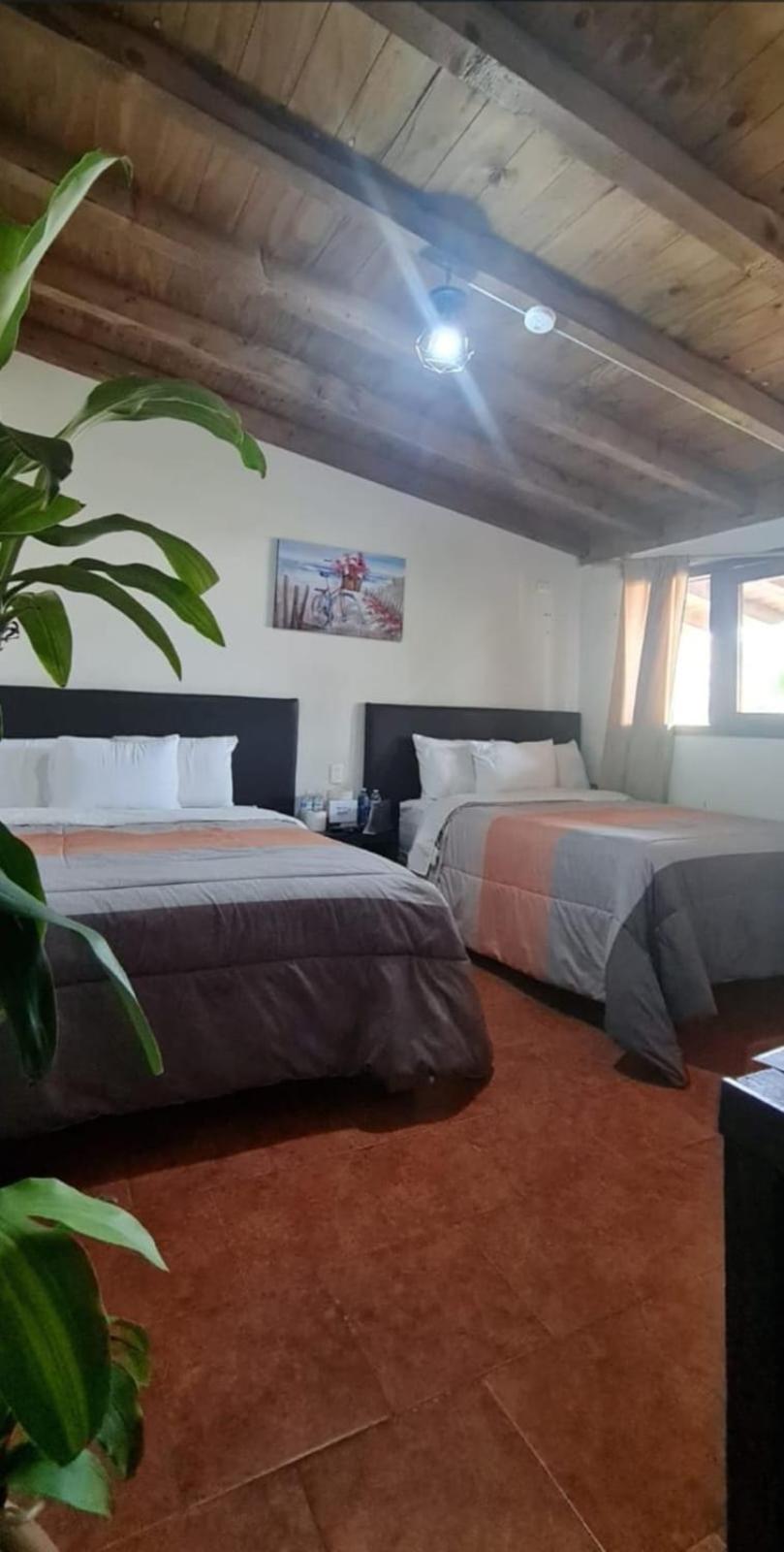 Hotel Villas Mariposas Atlixco Εξωτερικό φωτογραφία